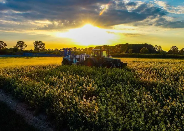 Farm stay Kai Hansen Rettin